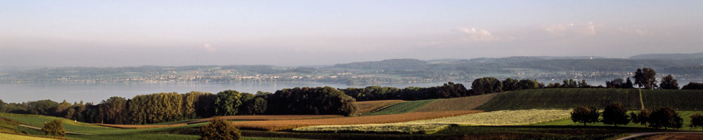 Neuenburgersee_200px.jpg